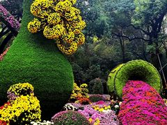 -杭州植物园