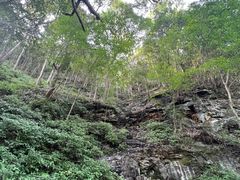 -石台牯牛降景区