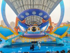 -海合安天津极地海洋公园