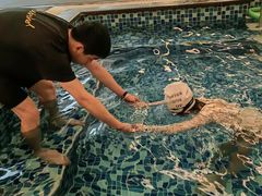 -浚涛游泳培训(协信中心店)