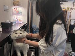 -Mr.Fox狐狸先生超级密室(南山店)