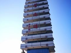 -原山国家森林公园