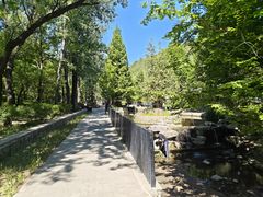 -白水寺森林公园