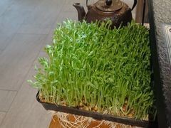 -湊湊火锅·茶憩(世博大道店)