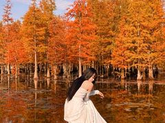 -白鹭湾湿地公园