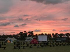 -春花秋色城市公园