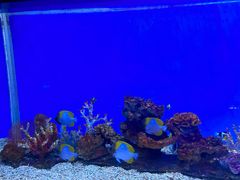 -秦皇岛新澳海底世界