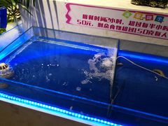-悦巷海鲜自助铁板烧(秦皇东大街店)