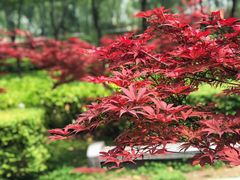 -西安汉城湖景区