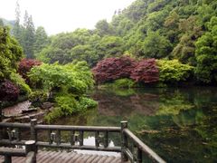 iphone_upload_pic-九溪烟树