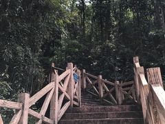 -广州市帽峰山景区