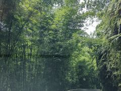-沐川竹海旅游景区