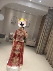 -韩国天使嫁衣婚纱礼服馆(上海旗舰店)