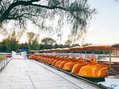 -北陵公园