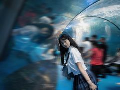 -泉城欧乐堡海洋极地世界