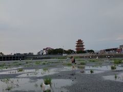 -奉贤海滩
