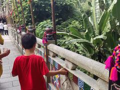 -西双版纳原始森林公园