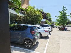 -桃源山庄·摘樱桃·柴火鸡·烧烤团建(龙泉山店)