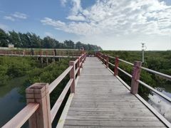 -北海金海湾红树林生态旅游区