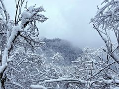 -九峰山