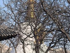 -护国法轮寺