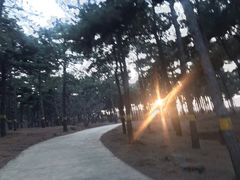 -鬼笑石后山停车场