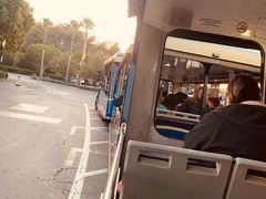 -木乃伊复仇过山车