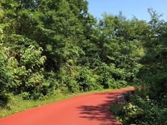 -敬亭山风景名胜区