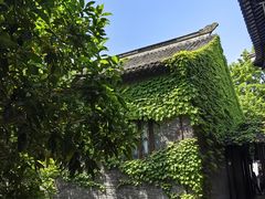 -梅园