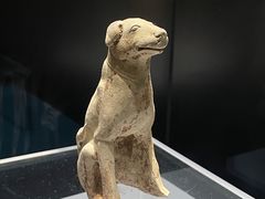 -隋唐大运河文化博物馆