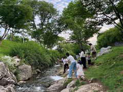 -羊山湖公园