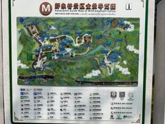 -野象谷景区