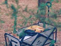 -广富林郊野公园