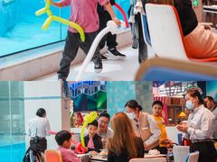 -帝企鹅自助餐厅•儿童岛•真企鹅(长隆企鹅酒店)