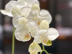 -裕丰源豫食雅宴