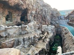 -珠海长隆海洋王国