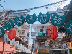 -猫咪博物馆(顶澳仔猫街店)