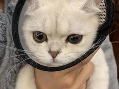 -美美宠物诊疗中心·异宠·骨科(滨江东信分院)
