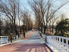 -大兴滨河森林公园