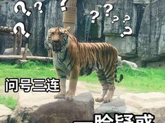 -上海野生动物园