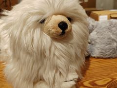 -番茄口袋(上海普陀区环球港店)