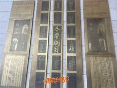 -上海科技馆(地铁站)