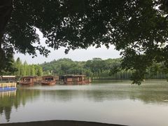 -三水森林公园
