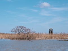 -盐城丹顶鹤湿地生态旅游区