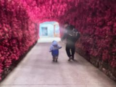 -泉城欧乐堡海洋极地世界