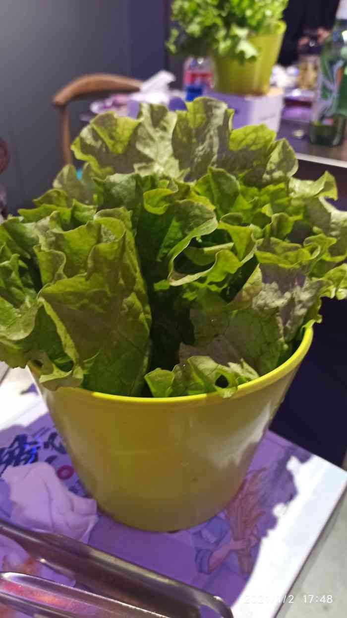 小猪羚蓓川式自助烤肉(印象济南店)-"[薄荷]环境: 店里环境很好,就是