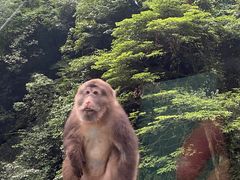 -西岭雪山大飞水景区