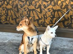 -喜晋道面馆(华严寺广场店)