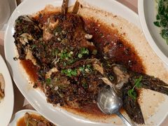 -金苑海鲜酒家(来魅力店)