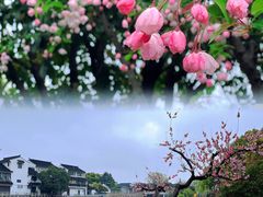 -苏州太湖湖滨国家湿地公园
